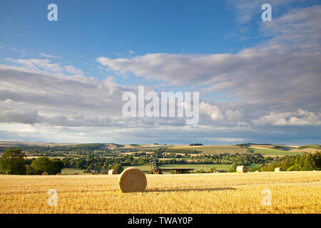 Le balle di paglia sulla collina sopra il villaggio di Corton nella Wylye Valley, Wiltshire. Foto Stock