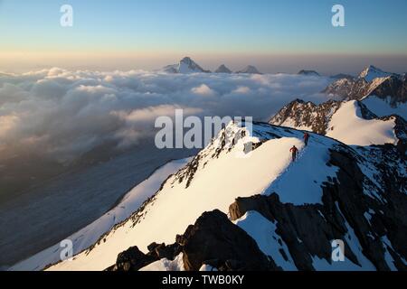 Austria, Tirolo, Alpi Oetztal, tour alpino Schalfkogel (vetta). Foto Stock