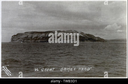 Great Orme - Galles del Nord Foto Stock