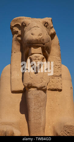 Templo de Karnak e Luxor, la Valle del Nilo, Egipto Foto Stock