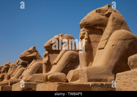 Templo de Karnak e Luxor, la Valle del Nilo, Egipto Foto Stock