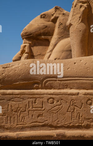 Templo de Karnak e Luxor, la Valle del Nilo, Egipto Foto Stock