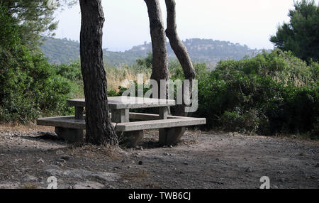 Calcestruzzo Panca e tavolo da picnic in foresta Foto Stock