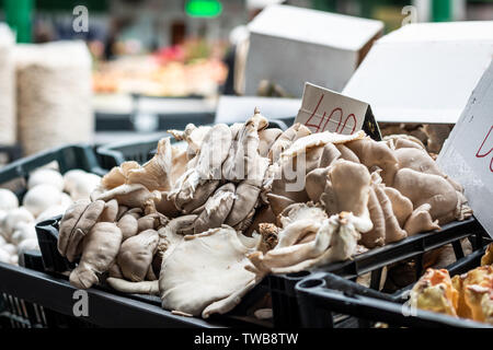 Pila di funghi in scatole nere pronte per la vendita sul mercato a Belgrado. Foto Stock