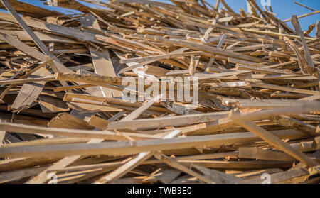 Un mazzetto di legno lungo il taglio. Foto Stock