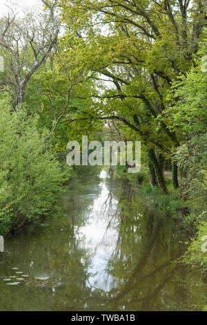 Wey e Arun Canal visto dalla serratura del Southland sul Wey e Arun Canal, West Sussex, Regno Unito. Maggio 2019 Foto Stock