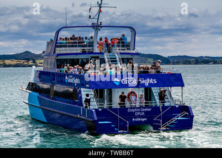 Gualchiere GreatSights crociera in barca, la Baia delle Isole, Isola del nord, Nuova Zelanda Foto Stock