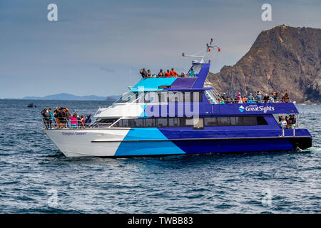 Gualchiere GreatSights crociera in barca, la Baia delle Isole, Isola del nord, Nuova Zelanda Foto Stock