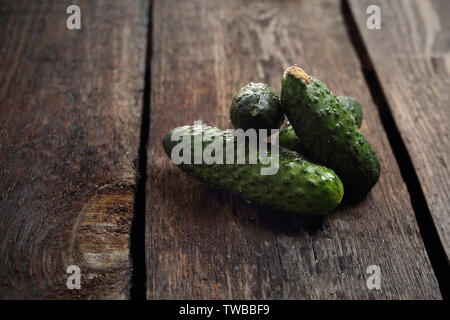 Cetrioli, appena raccolto green cetrioli su uno sfondo di legno. Foto Stock