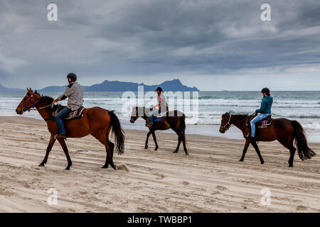 La gente di ippica a Waipu Cove, orate Bay, Isola del nord, Nuova Zelanda Foto Stock