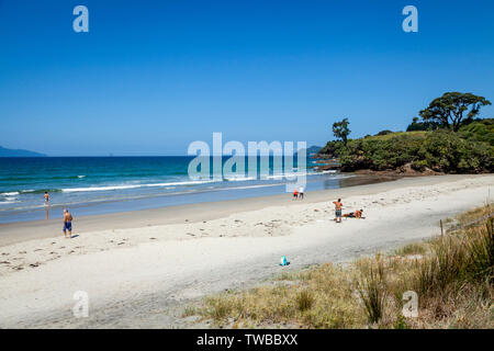 Waipu Cove, orate Bay, Isola del nord, Nuova Zelanda Foto Stock