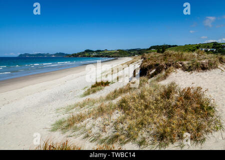 Waipu Cove, orate Bay, Isola del nord, Nuova Zelanda Foto Stock