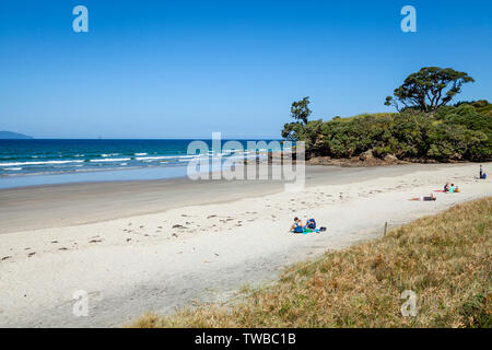 Waipu Cove, orate Bay, Isola del nord, Nuova Zelanda Foto Stock