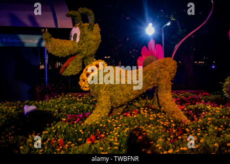 Orlando, Florida. Giugno 03, 2019. Topiaria da Plutone a Epcot in Walt Disney World Resort (21) Foto Stock