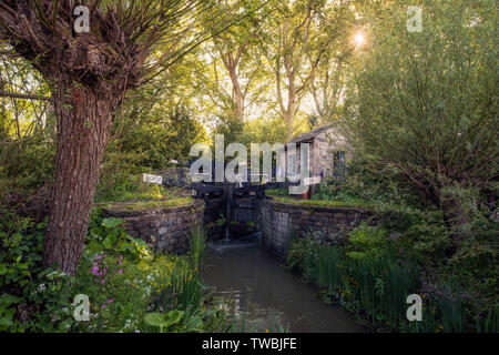 Il Benvenuto a Yorkshire giardino al Chelsea Flower Show a Londra, Regno Unito. Foto Stock