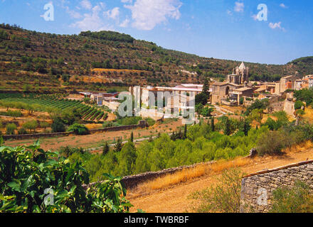 Panoramica. Vallbona de les Monges, provincia di Lerida, Catalogna, Spagna. Foto Stock