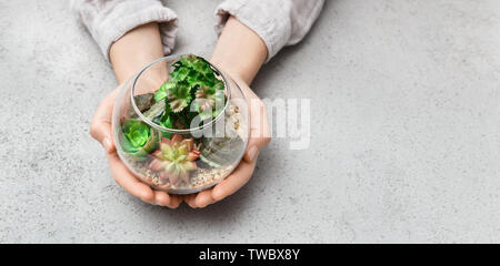 Donna di mani mini giardino succulente in vetro vaso florarium. Mini giardinaggio hobby concetto, spazio di copia Foto Stock