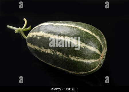 Boyang 9 melone. Foto Stock