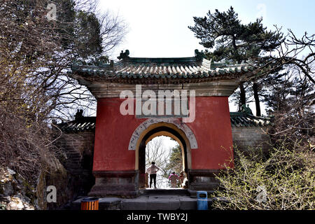 Fotografato in Wudang montagna, provincia di Hubei in aprile 2019 Foto Stock