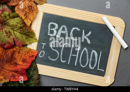 Si torna a scuola stampati su una lavagna con gesso e foglie di autunno su un sfondo di Blackboard Foto Stock