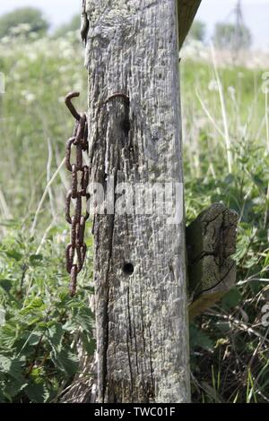 Immagine a colori che mostra il dettaglio di una recinzione di legno post con catene arrugginito attaccato contro un erba verde sullo sfondo Foto Stock