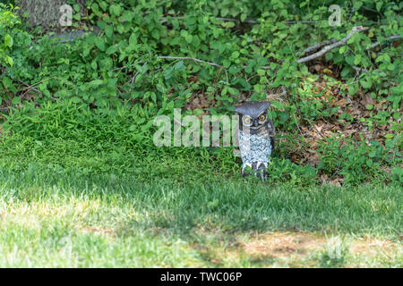 Plastica falsi owl decoy mantenendo guarda al bordo del Bosco destinata a spaventare gli uccelli lontano Foto Stock