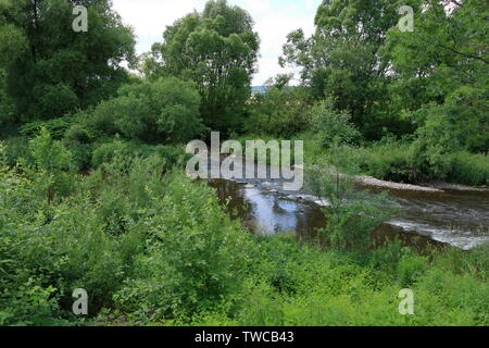 Il piccolo fiume Zschopau in Frankenberg in Sassonia Foto Stock