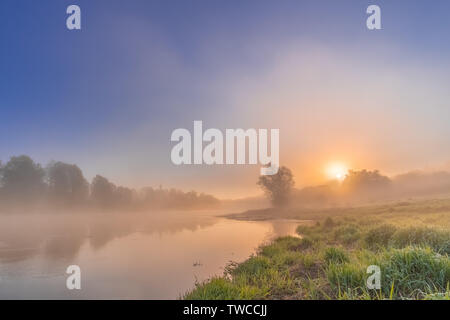 Vista colorate del fiume avvolta nella nebbia strisciante sopra l'acqua. Sole arancione che si alza lentamente dalla foresta. Dawn cool mattina. Erba con gocce di Foto Stock