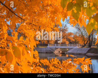 Ponte sul fiume canale incorniciato da giallo fogliame di autunno Foto Stock