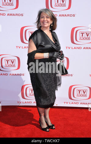 LOS ANGELES, CA. Giugno 08, 2008: Roseanne alla sesta annuale TV Land Awards a Barker Hanger, Santa Monica Airport. © 2008 Paul Smith / Featureflash Foto Stock