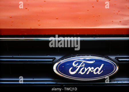 Ford Motor Company logo su un Ford Transit van personalizzati. Foto Stock