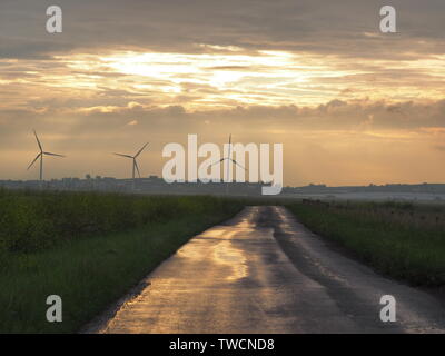 Harty, Kent, Regno Unito. 19 giugno 2019. Regno Unito Meteo: questa sera al tramonto in Harty, Kent. Credito: James Bell/Alamy Live News Foto Stock