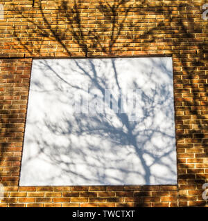 Le ombre dei rami di alberi e foglie su le mura urbane in condizioni di luce solare intensa Foto Stock