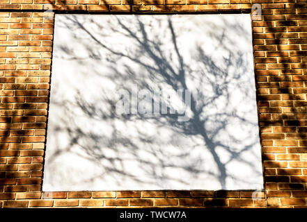 Le ombre dei rami di alberi e foglie su le mura urbane in condizioni di luce solare intensa Foto Stock