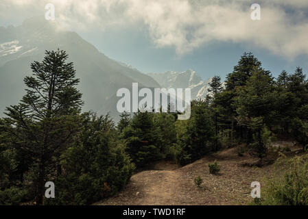 La foresta e la montagna picchi sulla mattina presto vicino a Namche Bazaar in Nepal Himalaya Foto Stock