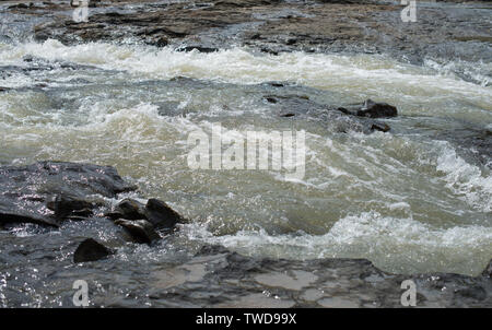 Il flusso rapido di un fiume di montagna. Foto Stock