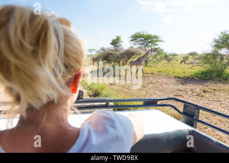 Donna sulla natura africana safari osservando la giraffa pascolando nella savana dal tetto aperto jeep safari Foto Stock