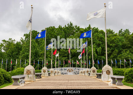 McDonough, Georgia / STATI UNITI D'America - 9 Giugno 2019: bandiere dei rami dell'esercito degli Stati Uniti di linea servizi la passerella che conduce ai veterani o a parete Foto Stock