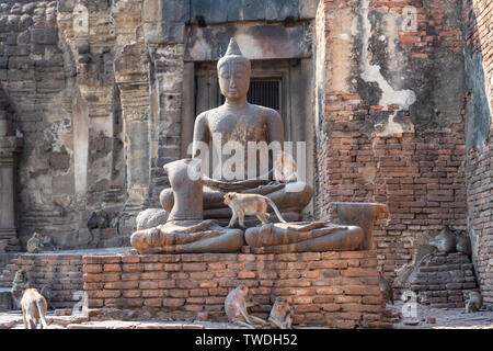 Le scimmie con pietra scultura di Buddha in rovina religiosa buddista posto, Phra Prang Sam Yoad in Lopburi, Thailandia Foto Stock