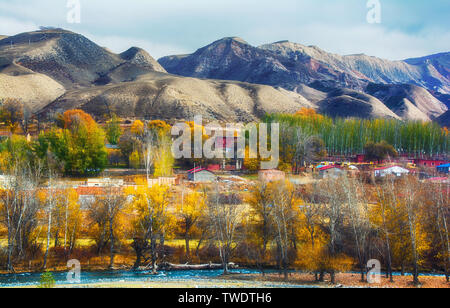 Colore di autunno di Miaoligou, Changji, Xinjiang Foto Stock