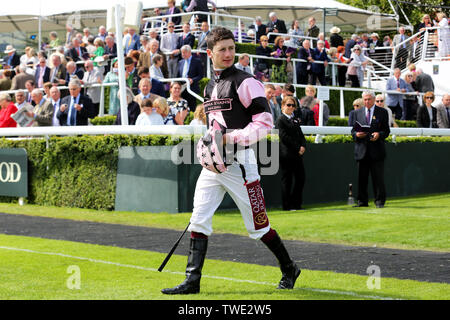 Viste generali dell'Ippodromo di Goodwood a Chichester, West Sussex, Regno Unito. Foto Stock