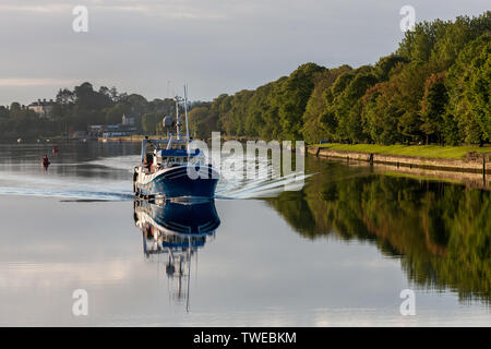 La città di Cork, Cork, Irlanda. Xx Giugno, 2019. Una luminosa mattina d'estate come il peschereccio Atlantic Rose heads up river con la sua cattura di gamberetti che lei scaricherà a Horgan's Quay a Cork in Irlanda. Credito: David Creedon/Alamy Live News Foto Stock