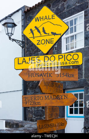 Lajes do Pico, isola Pico, arcipelago delle Azzorre, Portogallo, Europa Foto Stock