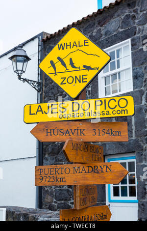 Lajes do Pico, isola Pico, arcipelago delle Azzorre, Portogallo, Europa Foto Stock