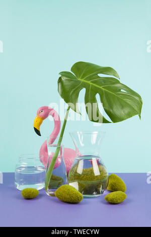 Trasparente vasi di vetro riempito con acqua ed un ramo di monstera deliciosa internamente nella parte anteriore di un fenicottero rosa di plastica su un turchese e viola indietro Foto Stock