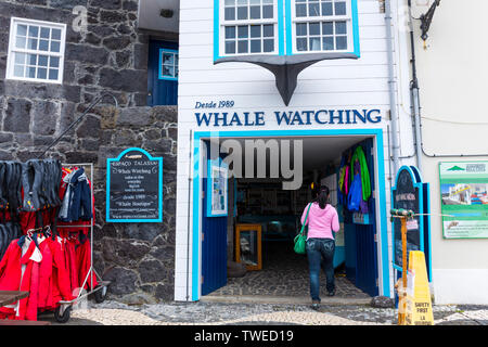 Lajes do Pico, isola Pico, arcipelago delle Azzorre, Portogallo, Europa Foto Stock