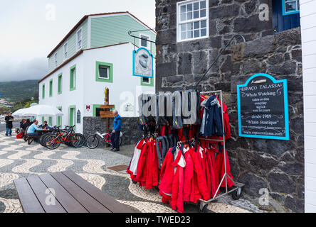 Lajes do Pico, isola Pico, arcipelago delle Azzorre, Portogallo, Europa Foto Stock