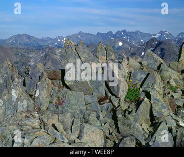 Stati Uniti d'America, Washington, il Parco Nazionale di Olympic, Frastagliata massi e vista da est di Lupo grigio Ridge e gli aghi in lontananza le montagne olimpiche. Foto Stock