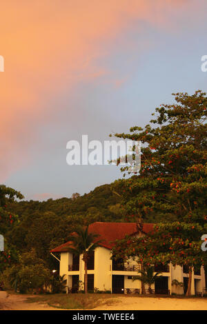 Alberi di fronte ad un resort turistico, Isola di Langkawi, Malesia Foto Stock