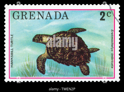 GRENADA - circa 1976: un timbro stampato in Grenada mostra tartaruga embricata - Eretmochelys imbricata, circa 1976. Foto Stock